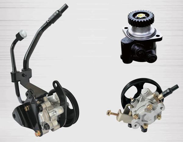 Power steering pump accessories